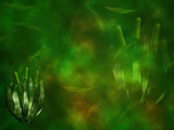 Green Gaze PowerPoint Templates Green Gaze PowerPoint Templates