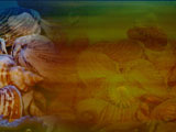 Marine Biology PowerPoint Templates Marine Biology PowerPoint Templates