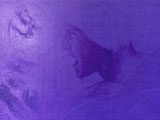 Leonardo Da Vinci PowerPoint Templates Leonardo Da Vinci PowerPoint Templates