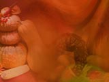 Thanksgiving PowerPoint Templates