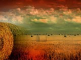 Fall / Autumn PowerPoint Templates Fall / Autumn PowerPoint Templates