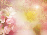 Spring PowerPoint Templates