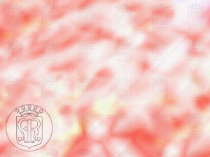 Immaculate Conception Title Content Christian PowerPoint Templates