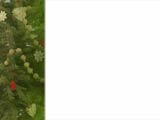 Print Layout Christian PowerPoint Templates