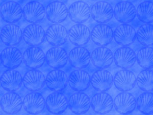 Shell Title Content Christian PowerPoint Templates Shell Title Content Christian PowerPoint Templates