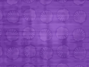 Shell Title Content Christian PowerPoint Templates Shell Title Content Christian PowerPoint Templates