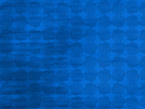 Shell Title Content Christian PowerPoint Templates Shell Title Content Christian PowerPoint Templates
