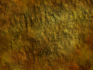 Trifoil Title Content Christian PowerPoint Templates